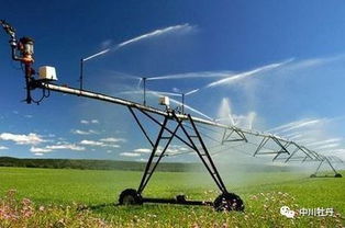 農(nóng)業(yè)致富十大 黃金法則