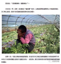 農(nóng)產(chǎn)品滯銷,農(nóng)業(yè)發(fā)展路在何方