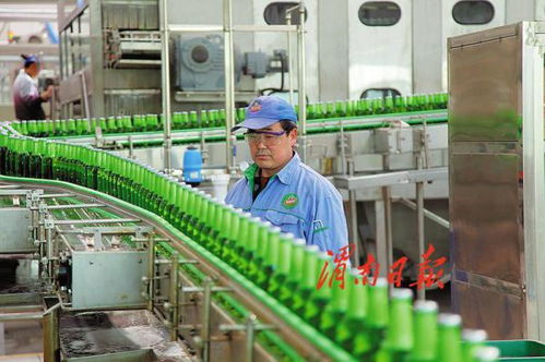 打造農(nóng)產(chǎn)品加工產(chǎn)業(yè)新地標(biāo) 渭南經(jīng)開區(qū)傾力推進(jìn)農(nóng)業(yè)產(chǎn)業(yè)高質(zhì)量發(fā)展