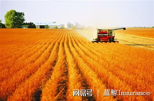 護航農業發展保險擔重任,5類保險首秀中央一號文件