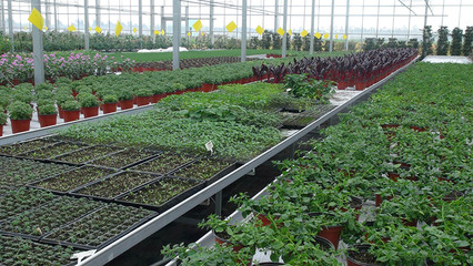 浙江東浦農業開發