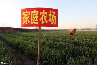 自治區(qū)農(nóng)業(yè)農(nóng)村廳關(guān)于印發(fā)2019年中央農(nóng)業(yè)生產(chǎn)發(fā)展資金 家庭農(nóng)場 項(xiàng)目實(shí)施方案的通知