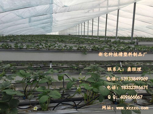 圖片,海量精選高清圖片庫 河北新宅雞槽塑料制品廠