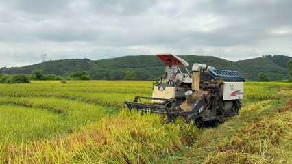 富川:鍛造好米&ldquo;鏈&rdquo;產(chǎn)供銷一體助農(nóng)增收