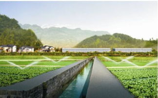 生態(tài)農(nóng)業(yè)成發(fā)展趨勢，武漢龜谷公司專業(yè)規(guī)劃服務(wù)受青睞
