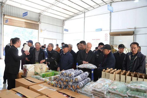 喜迎重陽 農(nóng)業(yè)開發(fā)中的安康中院老前輩佳節(jié)紀念