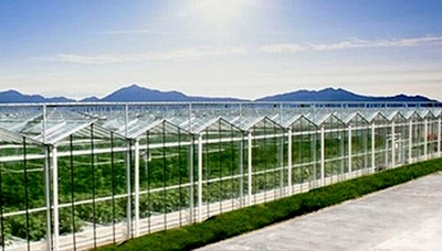 河南農(nóng)園農(nóng)業(yè)科技開發(fā)——推動現(xiàn)代農(nóng)業(yè)發(fā)展的新引擎