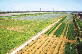 點亮農(nóng)業(yè)智慧之光——現(xiàn)代農(nóng)業(yè)創(chuàng)新開發(fā)與經(jīng)濟發(fā)展新路徑