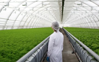 有機(jī)農(nóng)業(yè)發(fā)展緩慢的深層原因與挑戰(zhàn)