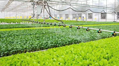 從會(huì)種地走向慧種地 稅費(fèi)優(yōu)惠賦能農(nóng)業(yè)現(xiàn)代化發(fā)展