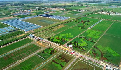 銀川農(nóng)業(yè)開發(fā)新篇章 創(chuàng)新驅(qū)動(dòng)與可持續(xù)發(fā)展并進(jìn)