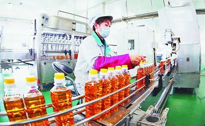 吉林 厚植黑土優勢，賦能農業升級，擘畫現代農業新藍圖