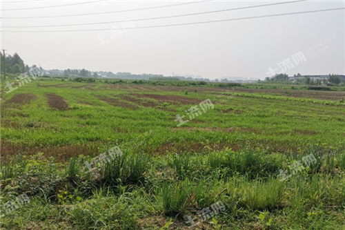 土流網賦能農業綜合開發 構建現代高效農業新格局